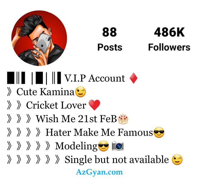 Instagram Bio Styles