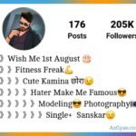 Instagram VIP Bio With Emoji